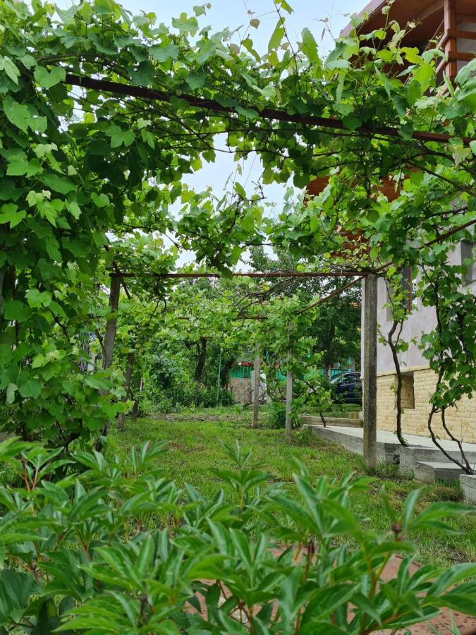 Casa Hera Călimăneşti Buitenkant foto