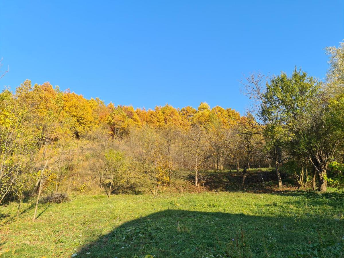 Casa Hera Călimăneşti Buitenkant foto