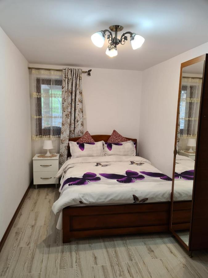 Casa Hera Călimăneşti Buitenkant foto