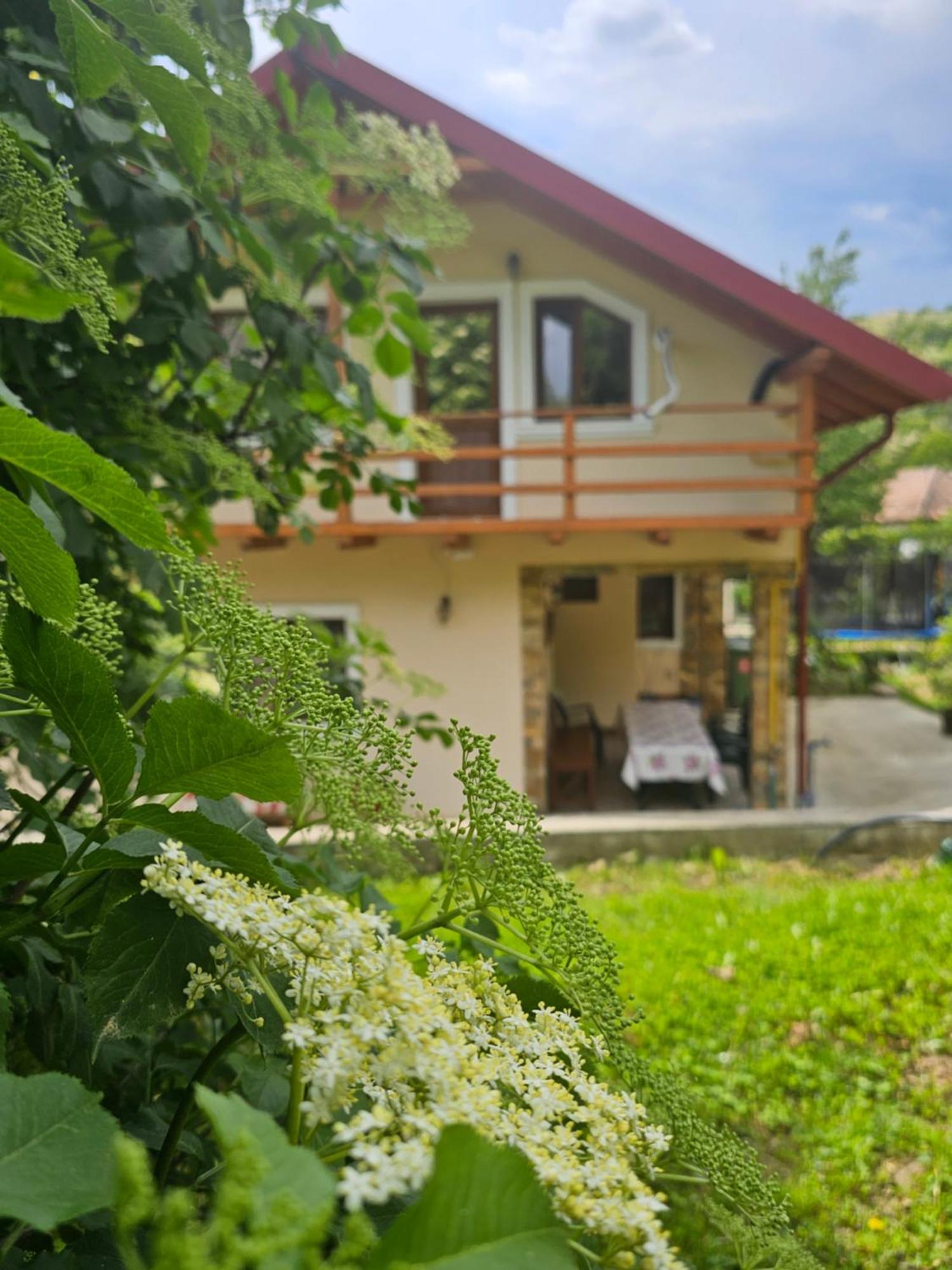 Casa Hera Călimăneşti Buitenkant foto