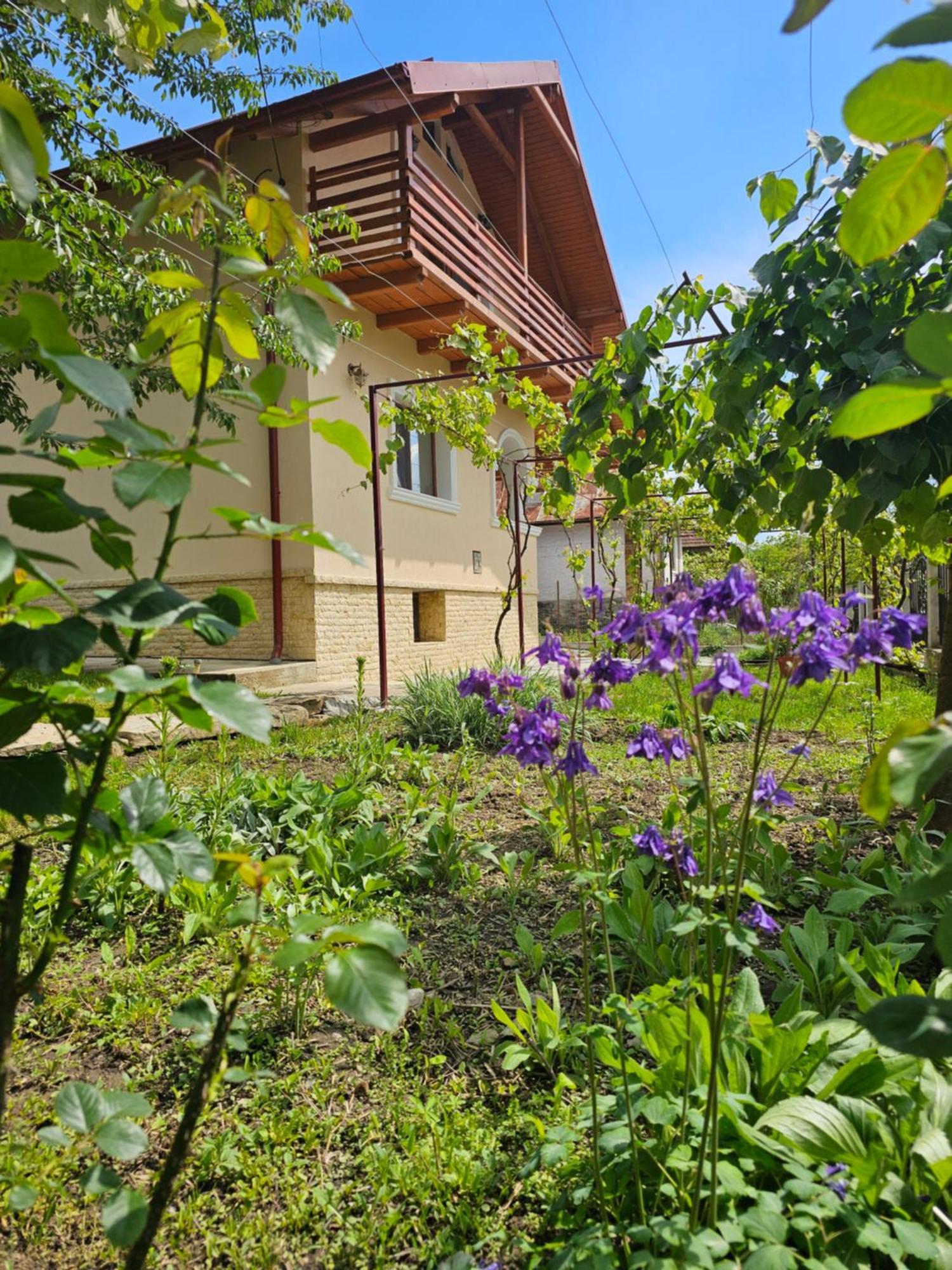 Casa Hera Călimăneşti Buitenkant foto